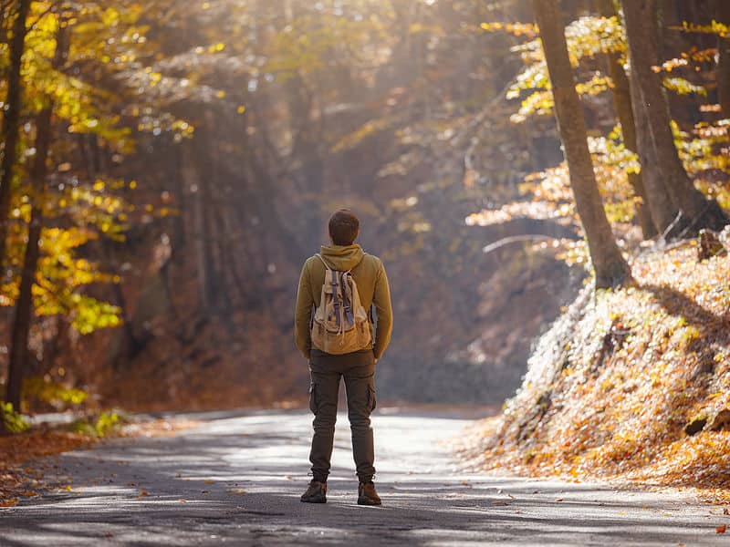 A person with a backpack stands alone on a sunlit forest road in autumn, looking ahead into a path surrounded by golden leaves and tall trees.